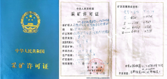 赵国庆致吉林省委黄强书记的一封实名求助信